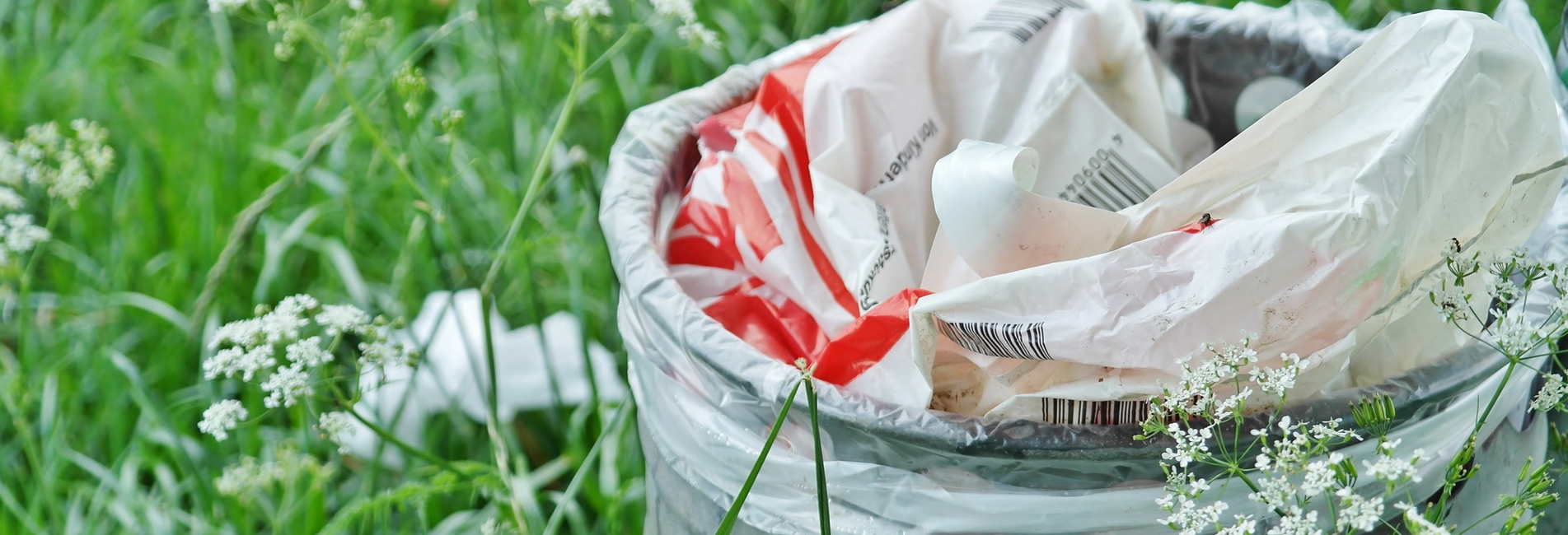 Local Skip Bin Buckland, Skip Bins Triabunna, Skip Bin Hire Swansea